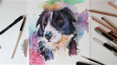 Watercolour Border Collie | SPEED PAINTING - YouTube