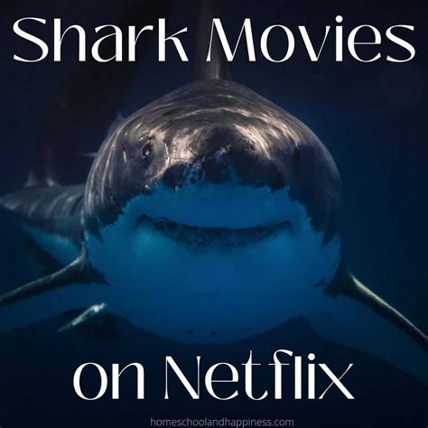 4 Best Shark Movies on Netflix To Watch In 2023