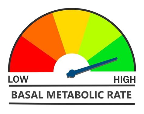 Pin on Basal Metabolic Rate Calculation Tool (BMR)