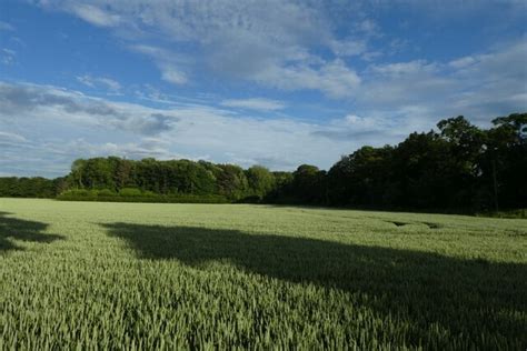 Fields behind Strawberry Fields Cafe © DS Pugh :: Geograph Britain and ...