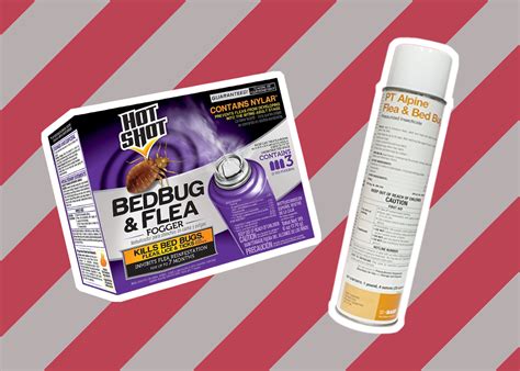 5 Best Bed Bug Foggers Reviewed in Detail (Winter 2024)