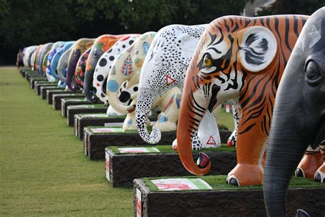 Elephant Parade names Elephant Family as its exclusive official... - Elephant Parade