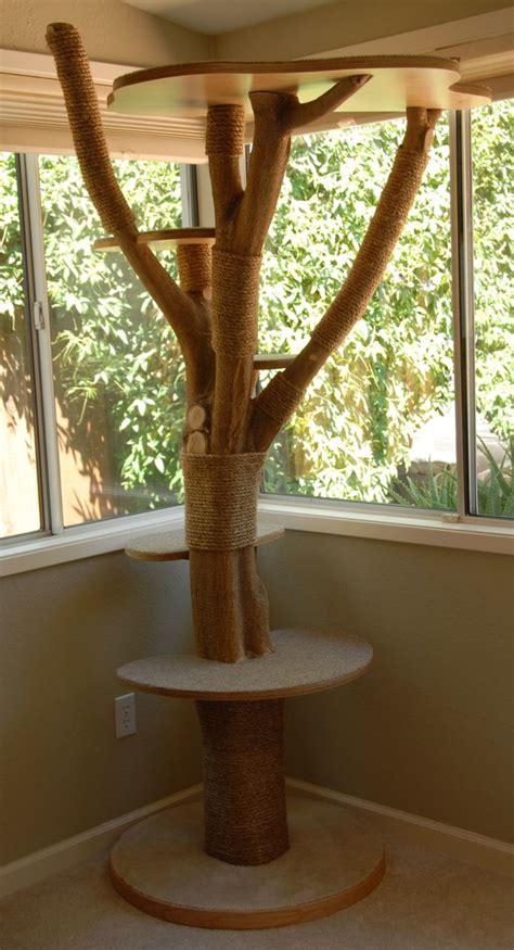 Pin on DIY Cat Tree