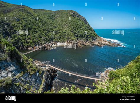 Storms River Suspension Bridge, Eastern Cape, Tsitsikamma National Park, South Africa Stock ...