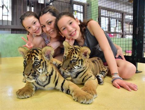 Tiger Kingdom Phuket – Phuket Tour Packages, day trips by local travel ...