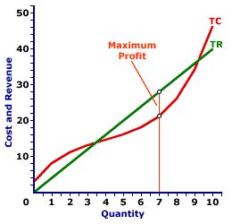 Encyclonomic WEB*pedia: PERFECT COMPETITION, PROFIT MAXIMIZATION