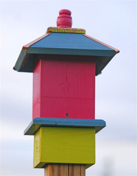 Whimsical Bird House Painted Bird Houses Chickadee - Etsy