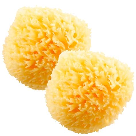 HartFelt Natural Bath Sponge 2ct - 4.5IN WOOL - Walmart.com - Walmart.com