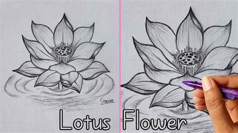 How to Draw Lotus Flower / Pencil Sketch - YouTube