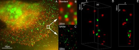 Super-resolution microscopy - Wikipedia