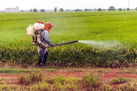 Top Pesticide Using Countries - WorldAtlas.com