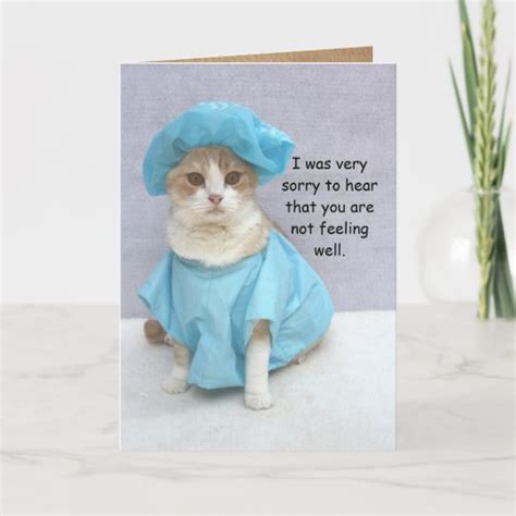 Funny Cat Get Well Card | Zazzle.com