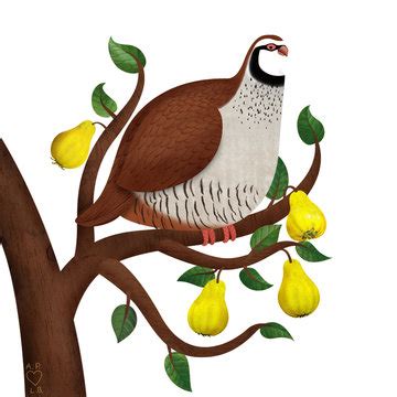 Partridge In A Pear Tree Clip Art