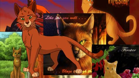 Download Firestar Of Warrior Cats Collage Wallpaper | Wallpapers.com