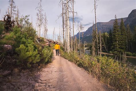 How to Hike to ST MARY FALLS in Glacier - Seeing the Elephant