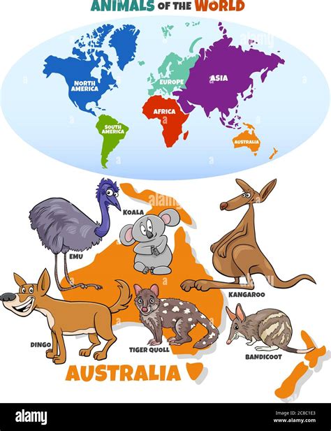 Educational Cartoon Illustration of Typical Australian Animals and ...