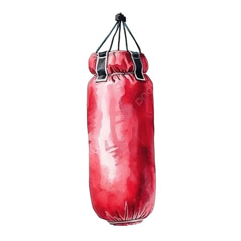 Watercolor Boxing Punching Bag, Boxing, Punching, Bag PNG Transparent ...