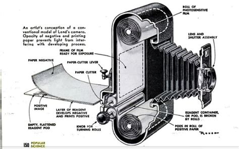 #TBT to 1947: Introducing the Polaroid Camera | Popular Science