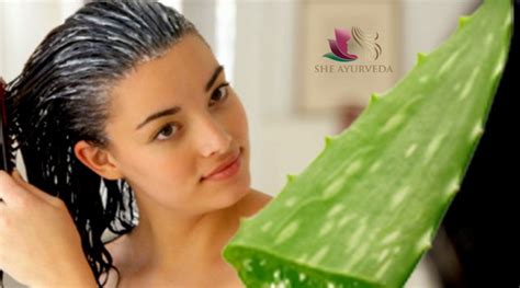 Best ayurvedic treatment for hair fall in calicut - She Ayurveda