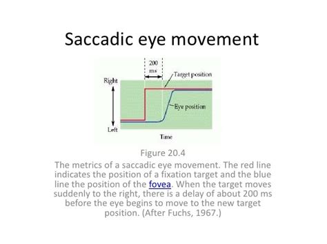 Saccadic eye movement