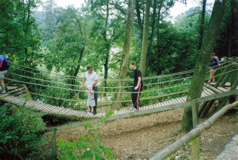 Cricket St Thomas : Wildlife Park © Tracey Clarke :: Geograph Britain and Ireland