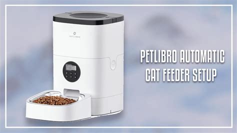 Petlibro Automatic Cat Feeder Setup (Step-by-step Guide)