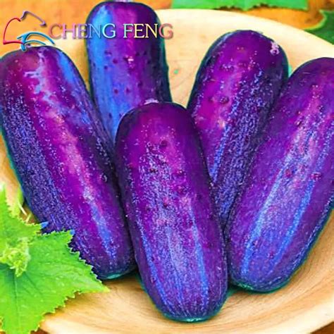 Cucumber Hot Selling 100 Seeds Fruit Cucumber Cuke Green White Red Cucumber Vegetable Fruit ...