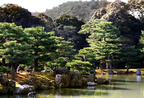 Kinkakuji Garden - Plant & Nature Photos - Digital Guff