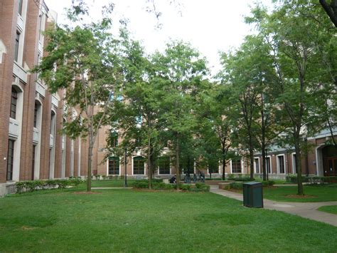 File:On the Lincoln Park Campus of DePaul University in Chicago.JPG - Wikimedia Commons