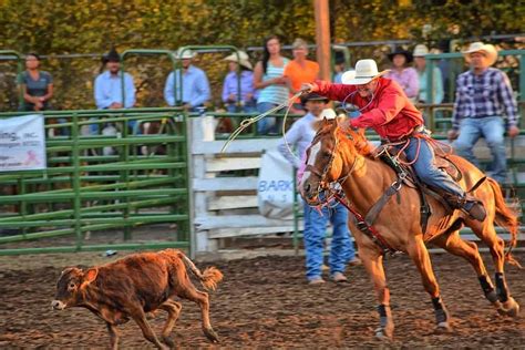 Calf-Roping-Riding | Horse Soup