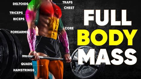 Top 6 Compound Exercises for Total Body MASS - Stronger AF