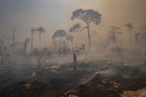 Cambio climático: ¿cuál es su efecto sobre los desastres naturales?