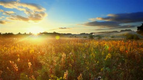 Landscape Sunset Field Meadow Nature Stock Footage Video (100% Royalty-free) 21171319 | Shutterstock