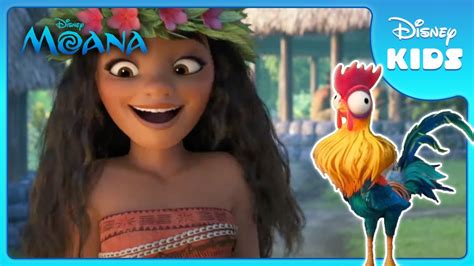 Heihei's Funny Moments! 🐔 | Moana | Disney Kids - YouTube