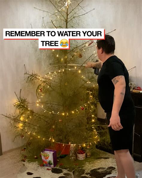 Christmas Tree Fails | It's always a struggle to get the perfect ...