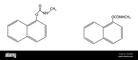 Chemical Structure of Carbaryl, Anatomy Of Carbaryl, Molecular structure of Carbaryl, Chemical ...