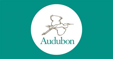 RMI Welcomes National Audubon Society