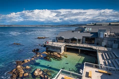 Monterey Bay Aquarium announces reopening date