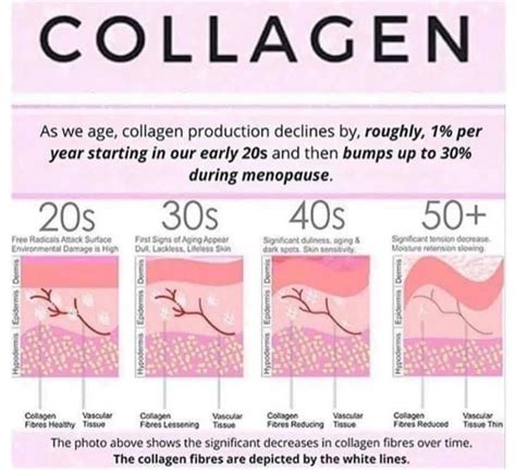 Tipsy Tuesday~~Let’s talk Collagen... Collagen is a fibrous protein responsible for keeping our ...