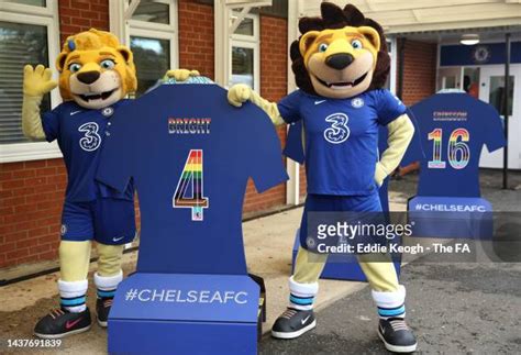 Chelsea Mascot Photos and Premium High Res Pictures - Getty Images