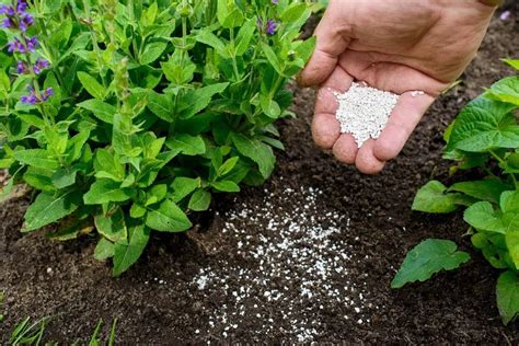 How To Store Fertilizer (Garden Fertilizer Storage Methods) - Gardenia Organic