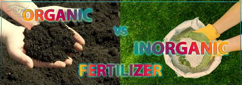 ORGANIC FERTILIZER VS INORGANIC FERTILIZER-UNIVERSAL INTENSE