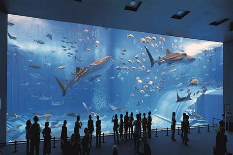 Oceanographic Museum of Monaco – French Riviera