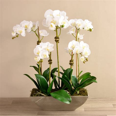 Artificial Contemporary Orchid Arrangement, Faux Contemporary Orchid ...