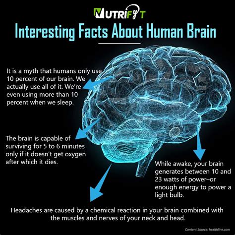 Interesting Facts About Human Brain