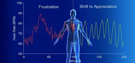 Understanding link between Heart Rate Variability (HRV) and mental health