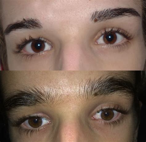 Rapid Brow: My review in pictures! | Reviews by Ellis