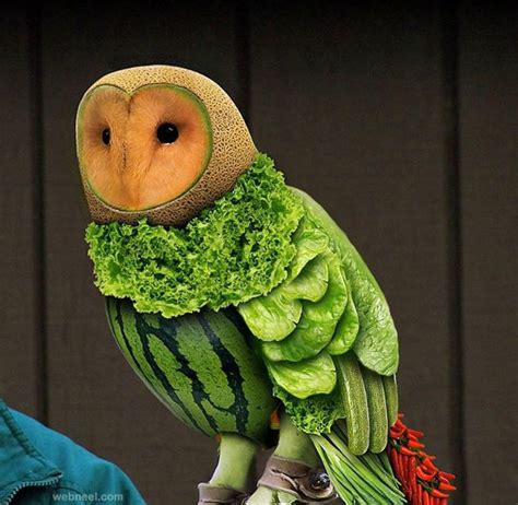 Vegetable Art Owl - Full Image