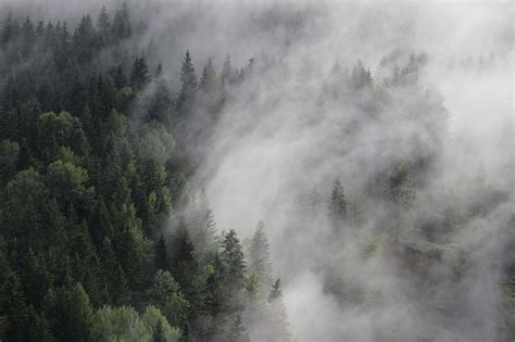 The meaning and symbolism of the word - «Fog»