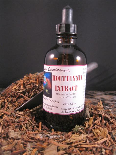 HOUTTUYNIA CORDATA Extract Tincture